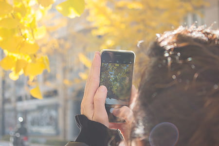 Man Wearing Black Jacket Using Iphone Taking Picture of Green Leaf Tree thumbnail
