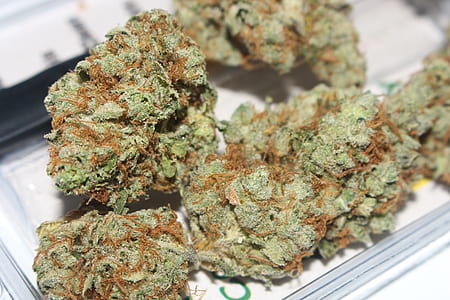 green kush thumbnail