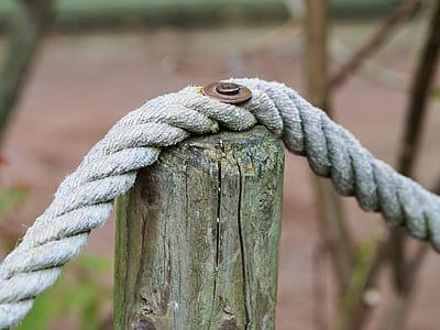 blue rope on wooden fence thumbnail