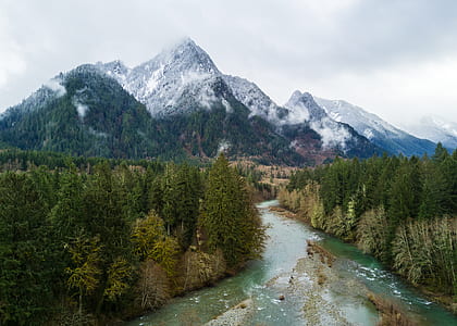 aerial photography of river surrounded by trees near mountain range thumbnail