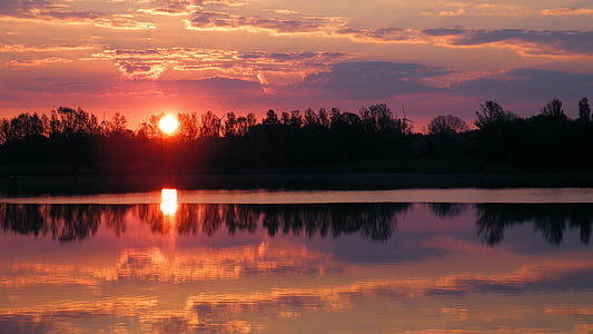 silhouette of trees near body of water thumbnail