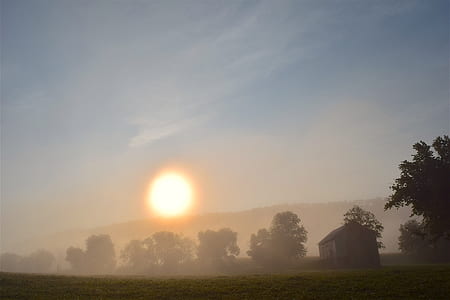 photo of house surrounded by trees in sunset thumbnail
