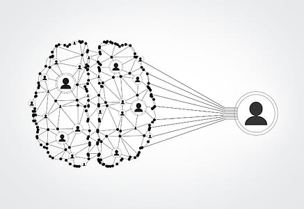 Network of People - Brain Wired to Be Social thumbnail