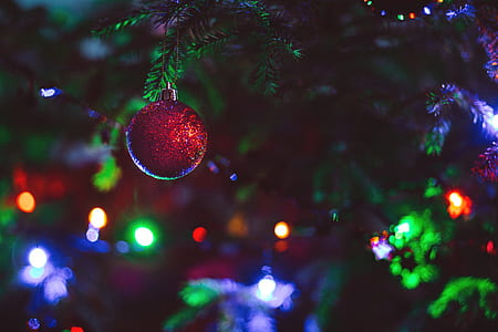 tilt-shift view of red Christmas bauble thumbnail