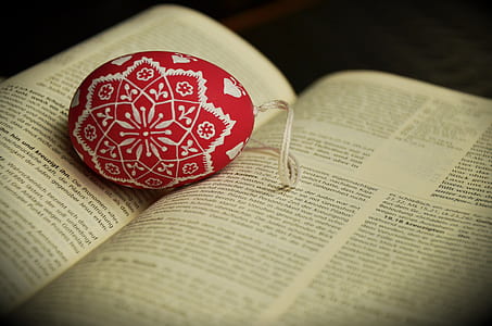 red and white print egg on open book thumbnail