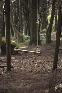 brown wooden swing between gray posts thumbnail