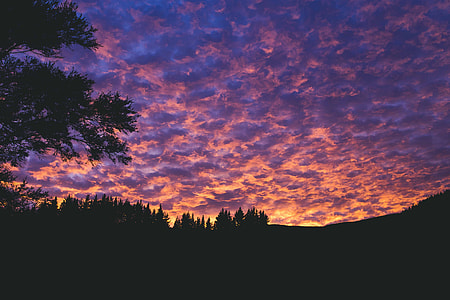 silhouette of trees under clouds thumbnail