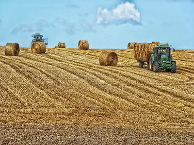 landscape photography of bale of hays thumbnail