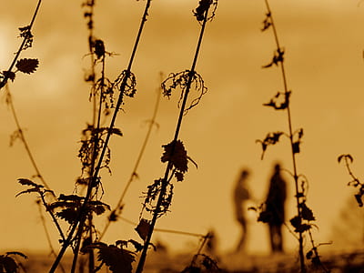 silhouette of two people standing next to each other thumbnail