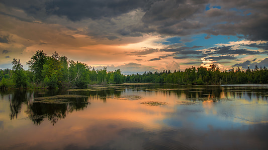 green leaf trees on body of water during golden hour thumbnail