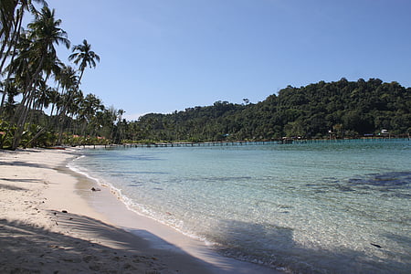 body of water surrounded by trees thumbnail