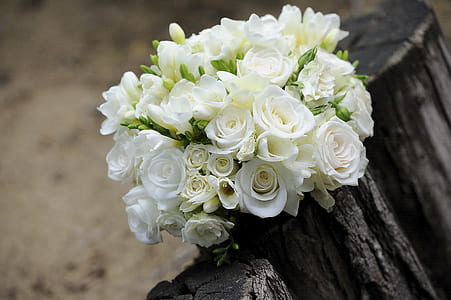 white roses bouquet on a wooden surface thumbnail