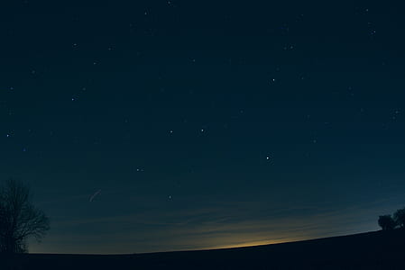 silhouette of trees under starry sky thumbnail