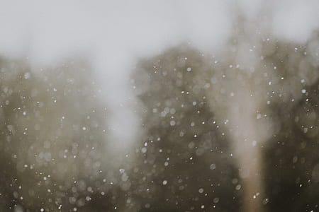 snow, outdoor, forest, snowing thumbnail