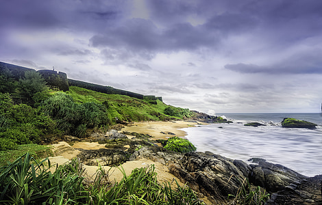 sea shore with grass field thumbnail