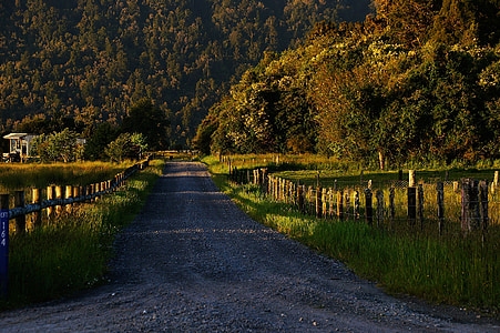 green grasses and rocky road thumbnail