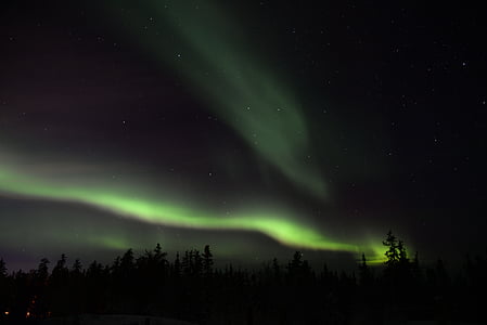 silhouette of trees under aurora borealis during night time thumbnail