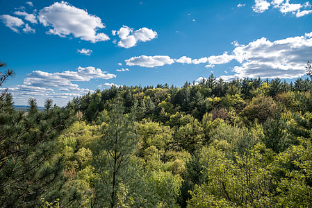 Skies over the forest landscape at Levis Mound, Wisconsin thumbnail