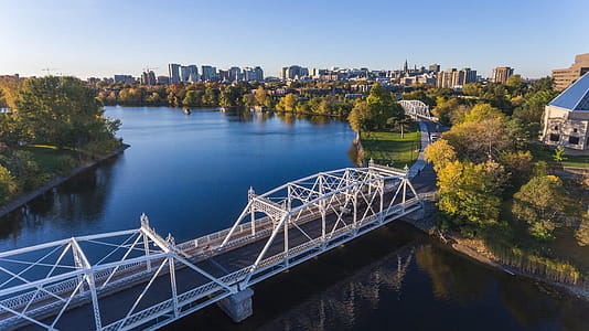 White Bridge Over Calm Lake Photo thumbnail