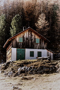 brown and white wooden house in front of trees thumbnail