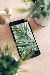 turned on black iPhone 7 on brown wooden top thumbnail