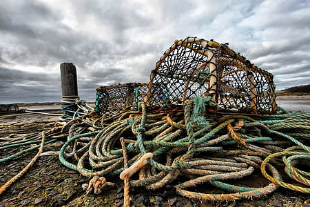 close-up photo of green and brown ropes and nets thumbnail