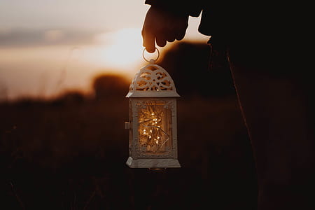 person holding white lamp lantern thumbnail
