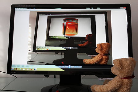 flat screen monitor displaying bear watching flat screen monitor loop thumbnail