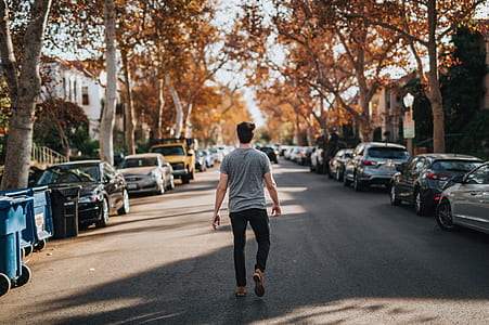 man walking in the middle of road under trees thumbnail