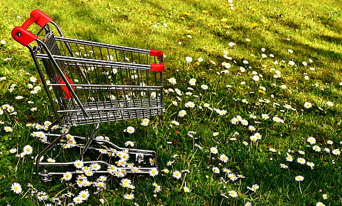 shopping, shopping cart, sale, meadow, daisy, consumerism thumbnail
