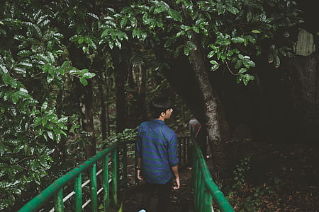 man wearing blue shirt standing on green wooden bridge near tree thumbnail