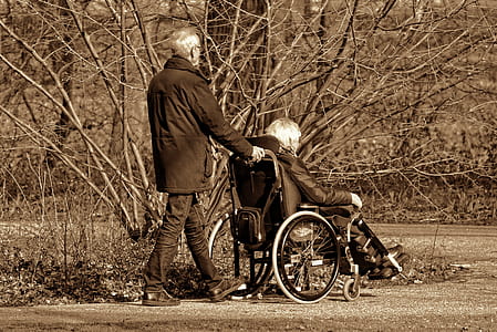 man sitting on wheelchair beside tree thumbnail