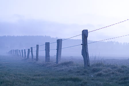 selective focus photography of barbed wire fence covered with fog surrounding thumbnail