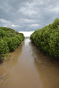 Mangrove Forest, Water Recreation thumbnail