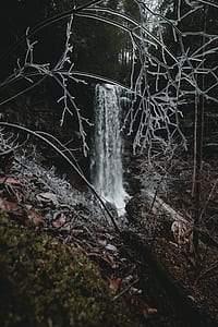 plunge waterfalls at middle of forest thumbnail