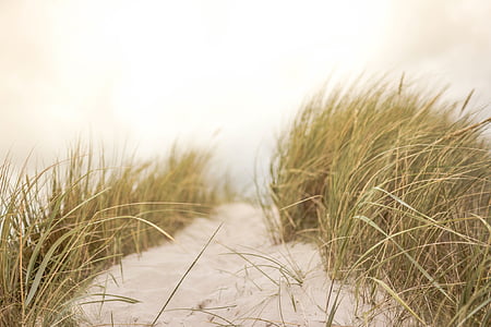 green grass thumbnail