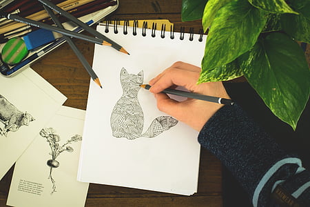 person draws a cat thumbnail