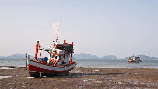 red and white boat on seashore during daytime thumbnail