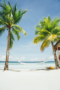 white hammock near seashore during daytime thumbnail