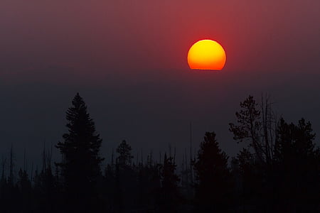 photo of silhouette of trees under red full moon thumbnail