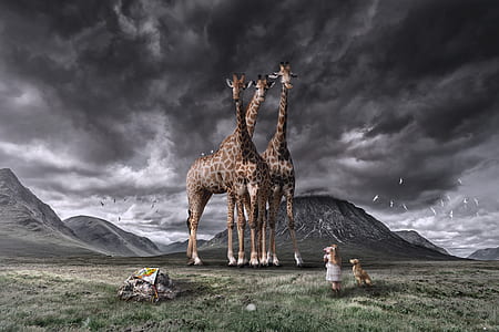 giraffe on green grass and near mountains thumbnail