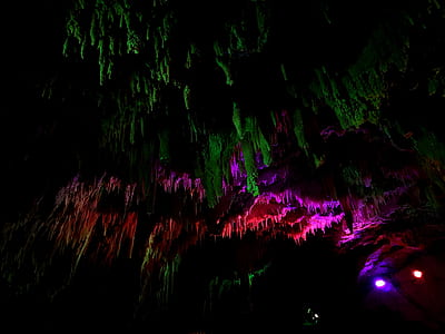 low angle view photography of LED lighted trees thumbnail