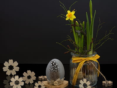 yellow daffodil and clear glass vase thumbnail