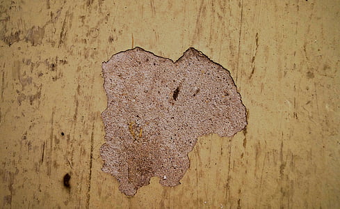 brown pavement on wooden surface thumbnail