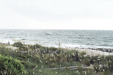 green grass field near body of water thumbnail