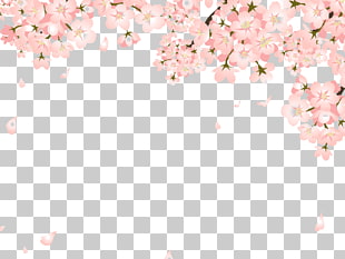 Cherry blossom Copyright-free Illustration, Pretty Peach falling, cherry blossom illustration PNG clipart