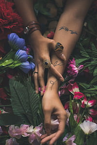 woman wearing assorted-color rings thumbnail