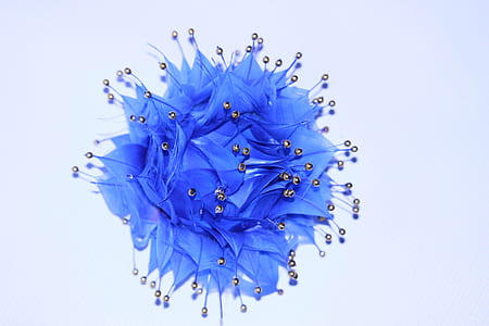 close-up photo of blue flower thumbnail