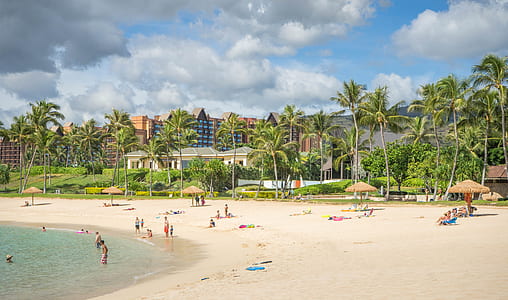 group of people walking on beach shore thumbnail