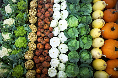 photography of Chinese cabbage, orange pumpkin, white squash, and green broccoli thumbnail